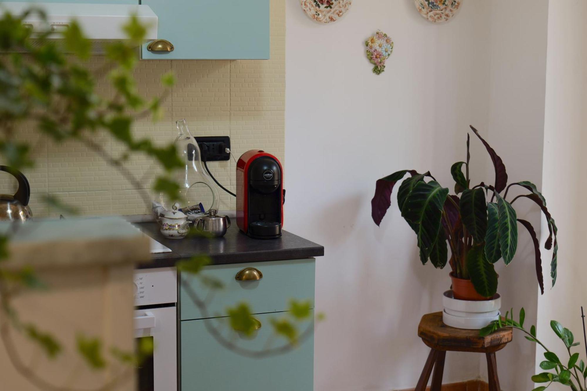 Coli'S House Bed & Breakfast Торино Екстериор снимка